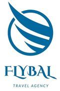 Fly Bal